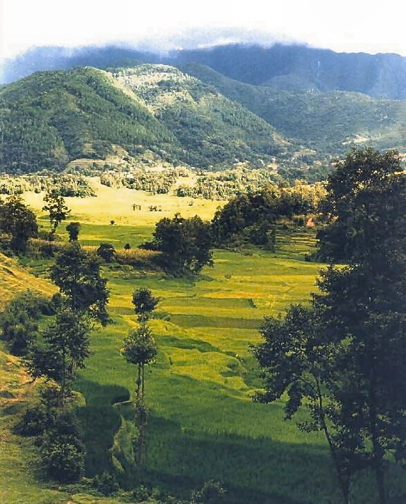 Im Kathmandutal